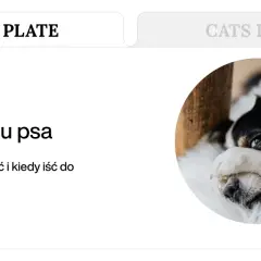 Chory piesek z biegunką i wymiotami, zasłaniający oczy łapką. Artykuł o problemach żołądkowych u psów.