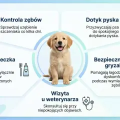 Uroczy szczeniak z uśmiechem, ilustrujący wskazówki dotyczące pielęgnacji zębów psa, w tym szczoteczki, pasty i gryzaków. Nie ma tu aparatu na zęby dla psa.