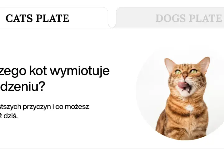 Zastanawiasz się, dlaczego kot wymiotuje po jedzeniu? Dowiedz się o 7 przyczynach i co możesz zrobić. Kot na zdjęciu wygląda, jakby właśnie coś zjadł.