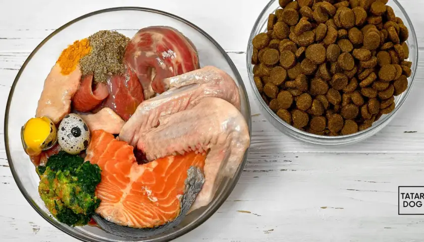 Miski z surowym mięsem, rybą, jajkami i warzywami obok suchej karmy. Inspiracja do przygotowania lekkostrawne jedzenie dla psa przepisy.