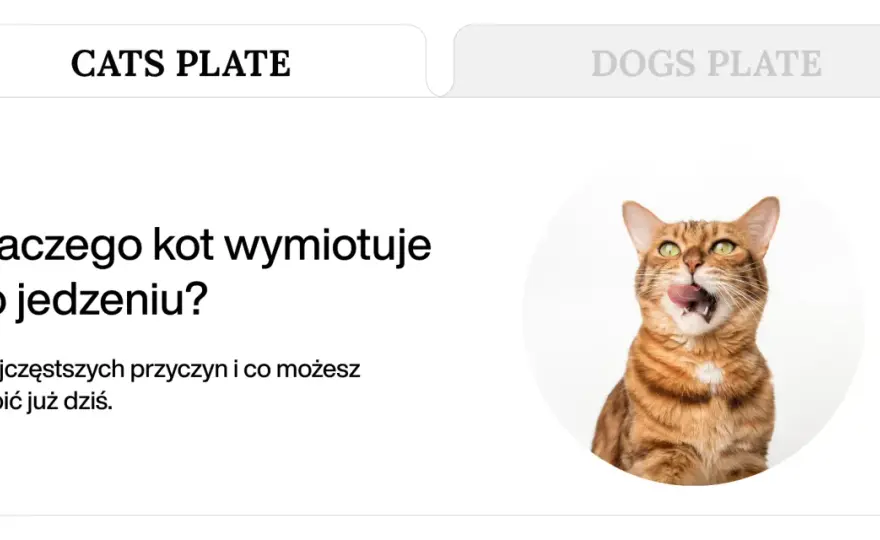 Kot wymiotuje po jedzeniu? Rozpoznaj problem i pomóż!