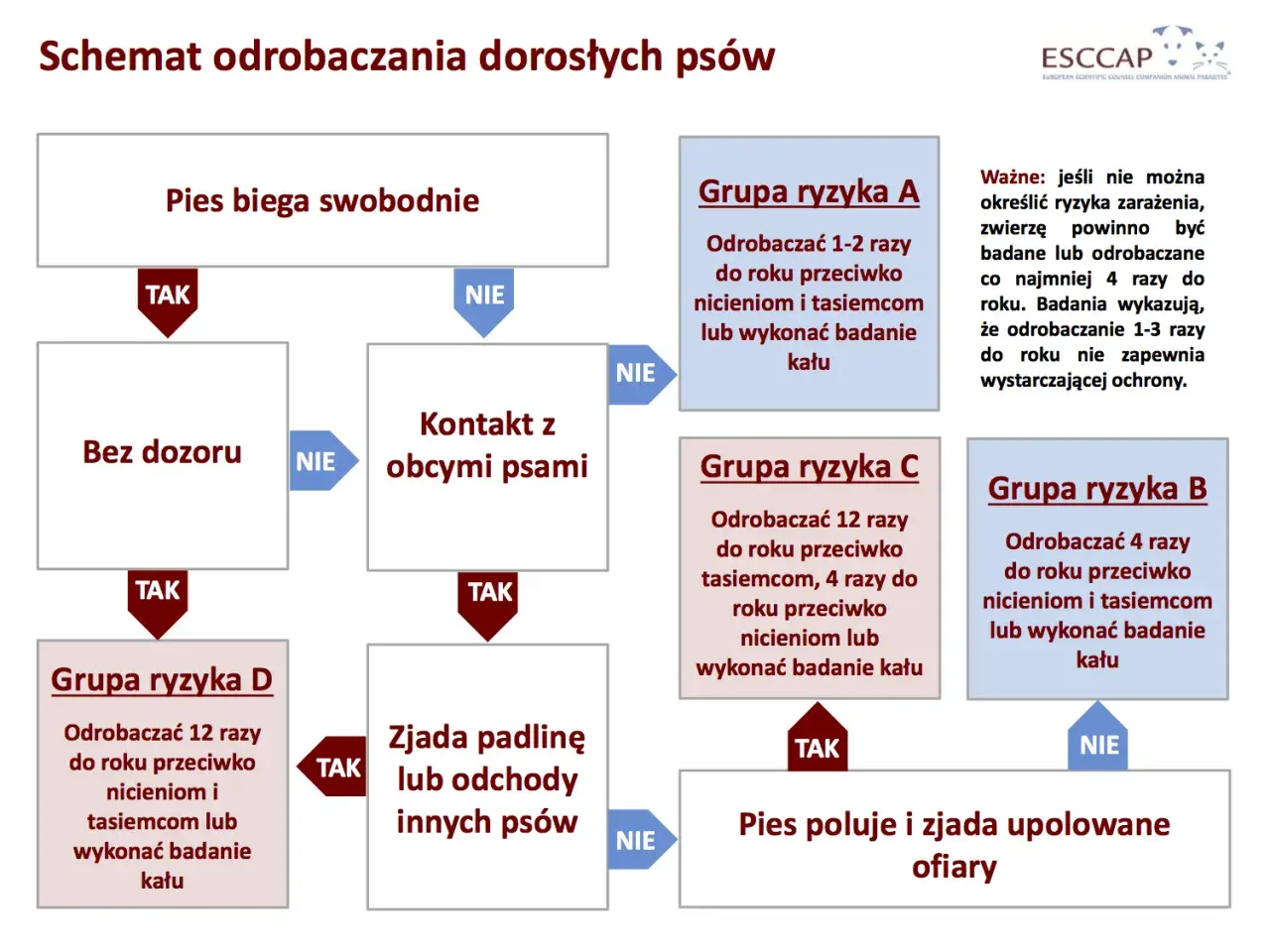 Schemat odrobaczania psów: jak często odrobaczać psa zależy od jego stylu życia i kontaktu z innymi zwierzętami.