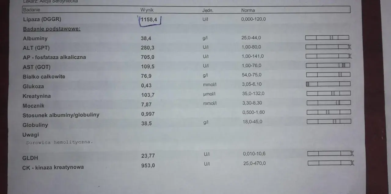 Wynik badania lipazy u psa: 1158,4 U/I, znacznie przekracza normę (0-120 U/I).