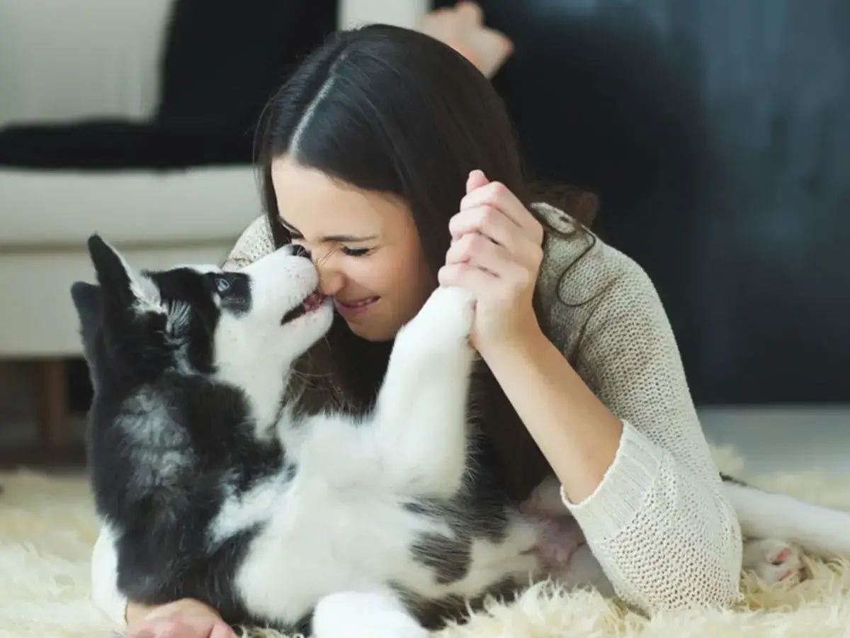 Uśmiechnięta dziewczyna bawi się z uroczym szczeniakiem rasy husky. Idealny przykład, że cytaty o psach mówią prawdę o ich miłości.