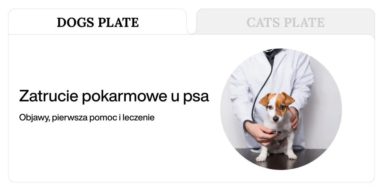 Weterynarz bada psa, który może mieć zatrucie pokarmowe. Objawy, pierwsza pomoc i leczenie.