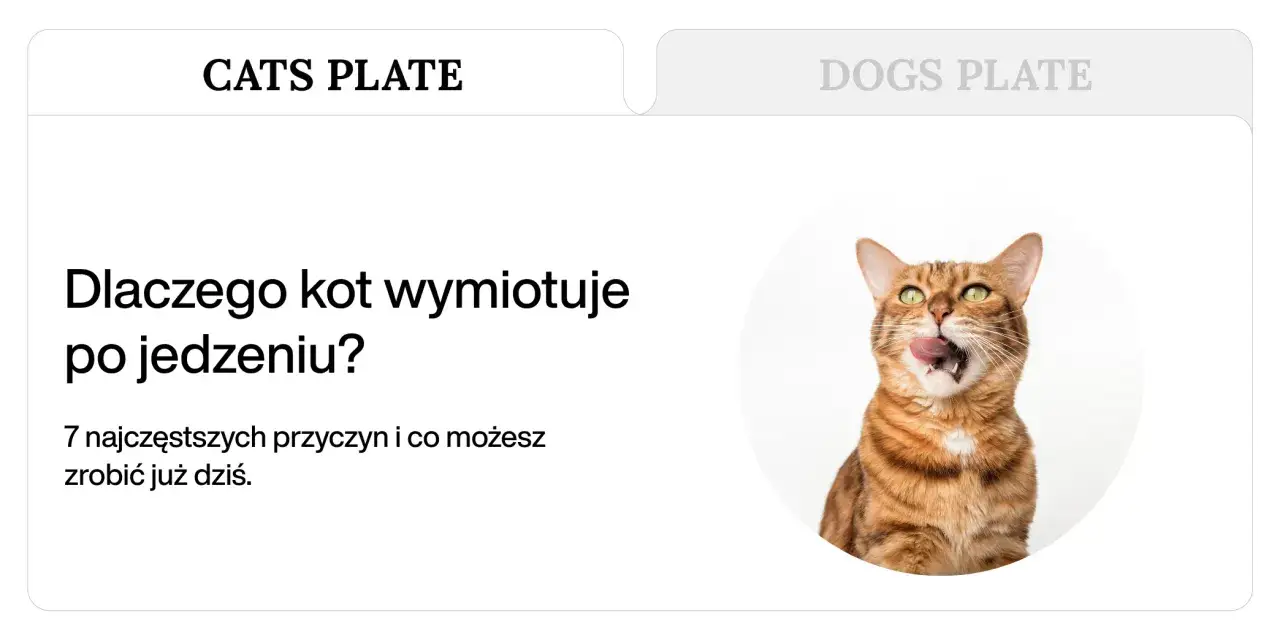 Zastanawiasz się, dlaczego kot wymiotuje po jedzeniu? Ten artykuł wyjaśnia 7 przyczyn i podpowiada, co możesz zrobić. Kot na zdjęciu wygląda, jakby właśnie coś zjadł.