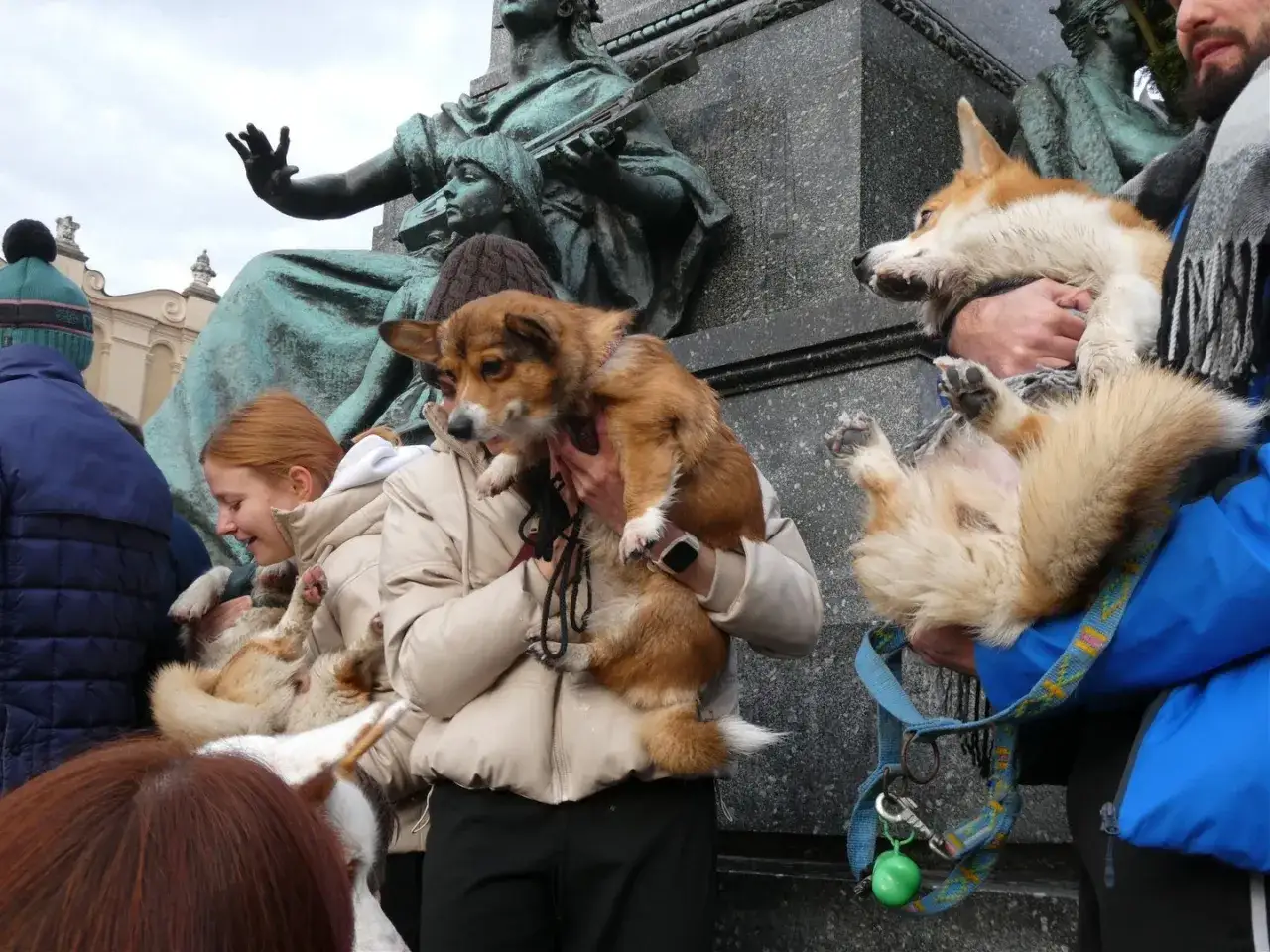 Ludzie trzymają urocze corgi, zastanawiając się, ile żyje ten wesoły piesek.